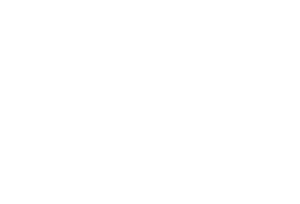 SEDS USA